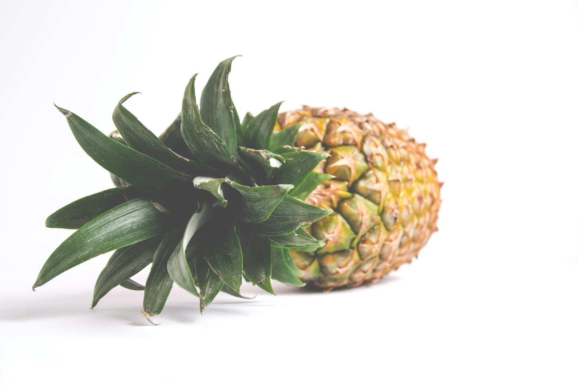 Preventing Parasite Infection: Foods to Incorporate into Your Diet